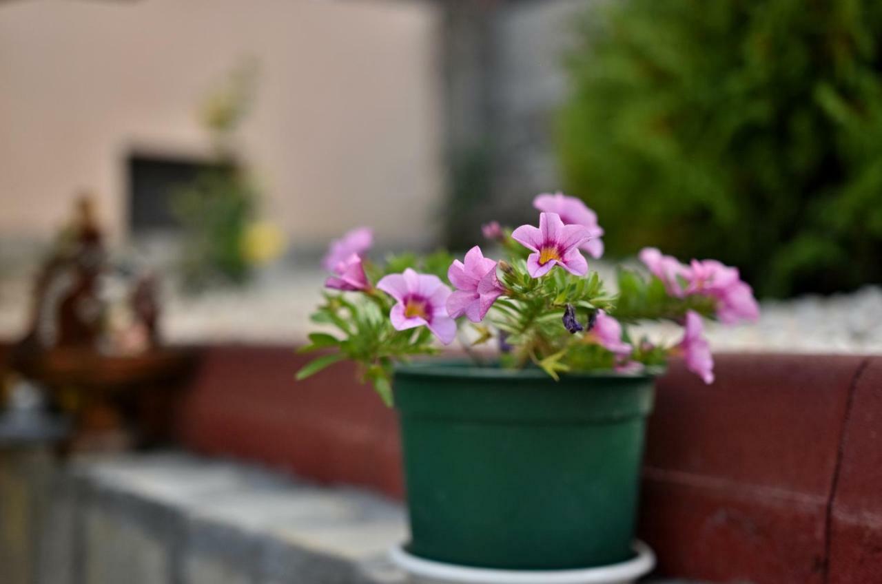 Saint Maria Guest House Velingrad Esterno foto